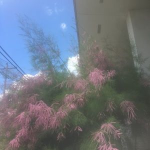 Meet your Posher, Andy